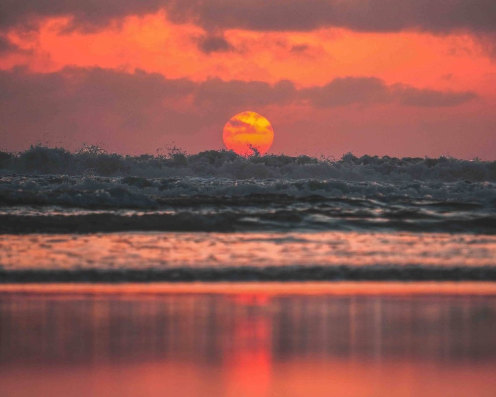 DSC05904cc-scaled